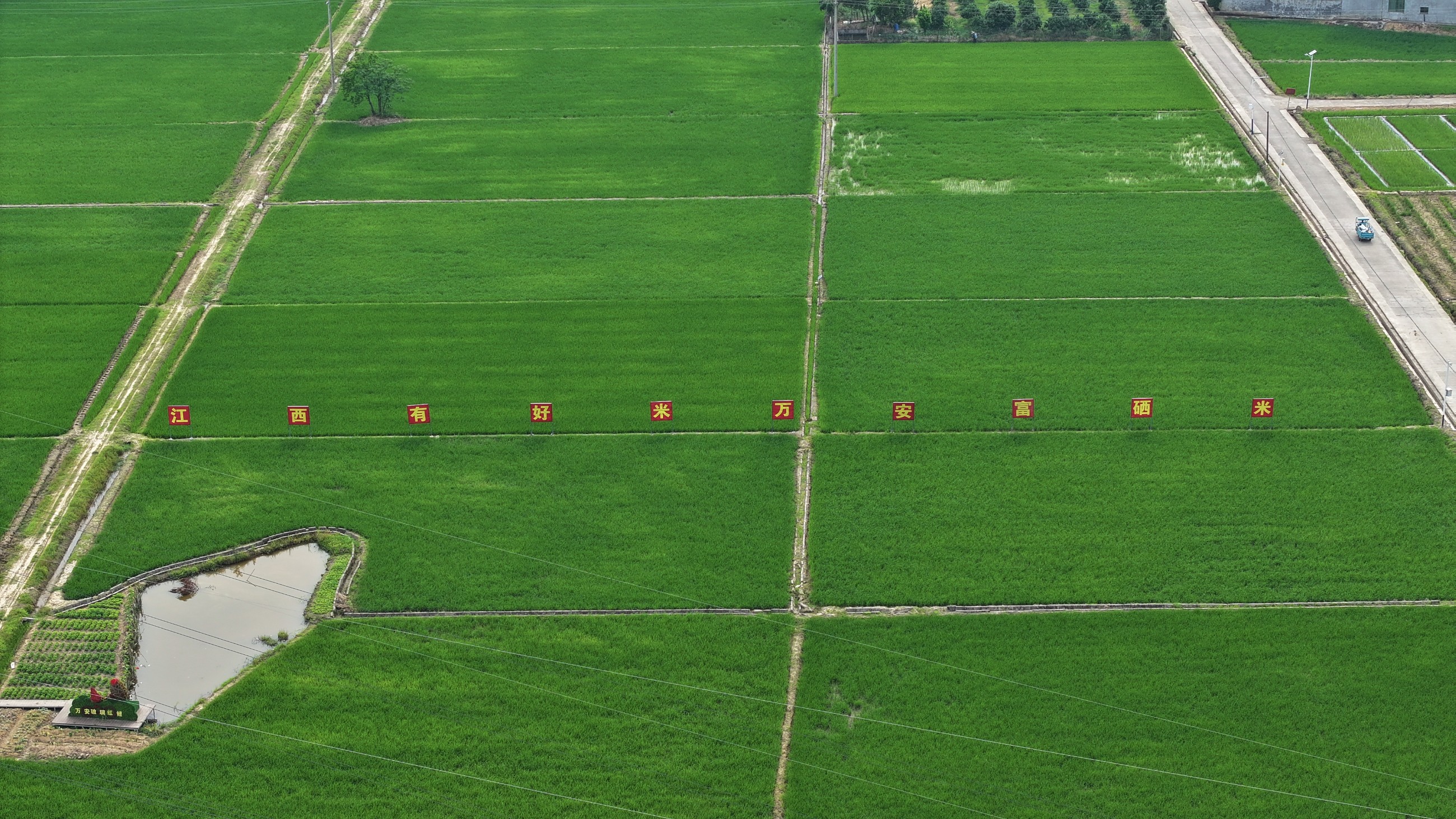 DJI_20240517180707_0052_D.JPG