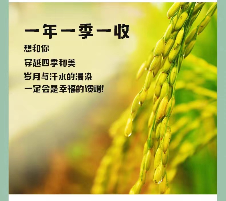 和万安|生态农业|有机食物|绿色食物|稻田共养